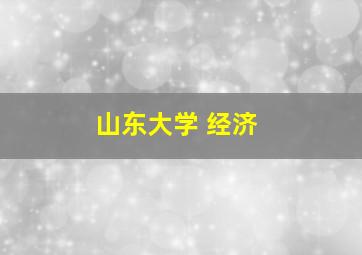 山东大学 经济